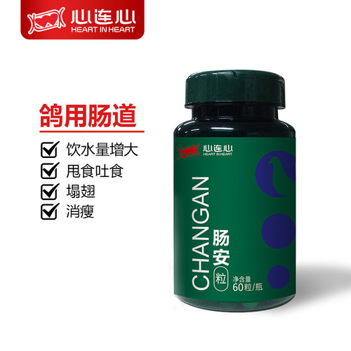 心连心肠安胶囊鸽子吐甩食
