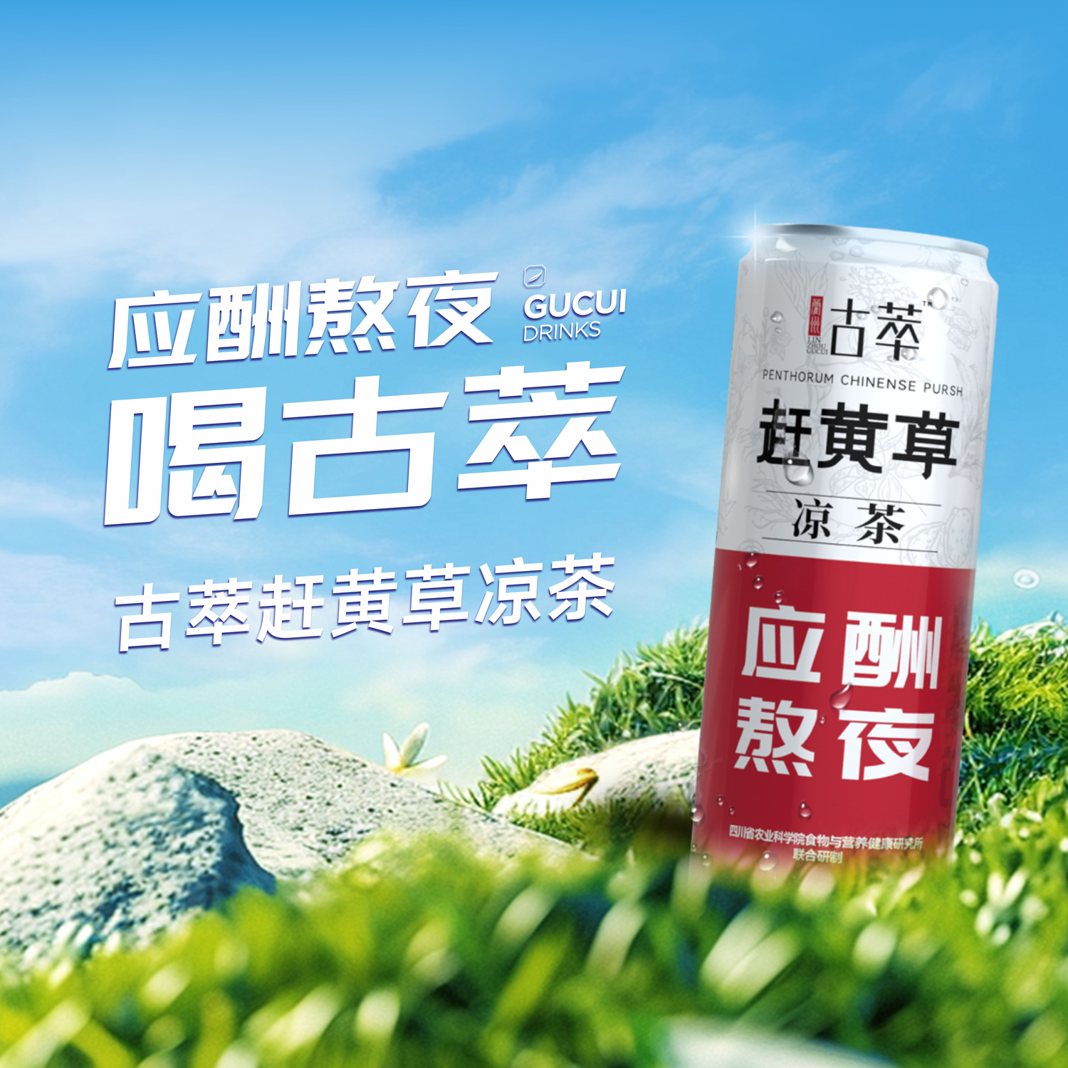 古萃「清」赶黄草清润凉茶植物饮料火锅草本饮料解辣解腻0脂整箱