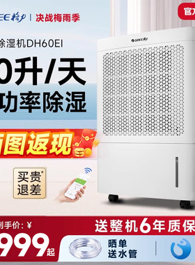 格力除湿机家用地下室 大功率工业抽湿机别墅商用除湿器DH60EI