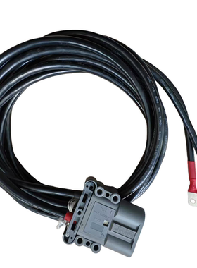 REMA叉车公母充电器带线0.5-5米80A160A320A合力杭叉林德叉车配线