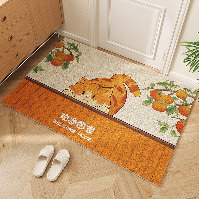 丝圈地垫刮沙除尘耐脏耐磨