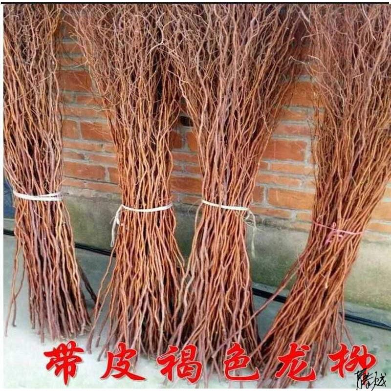龙柳树枝家居装饰干花龙须柳自然摆设艺术干枝拍摄道具枝曲柳