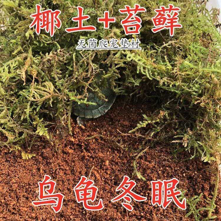 乌龟冬眠专用椰土送苔藓草龟巴西造景/装饰