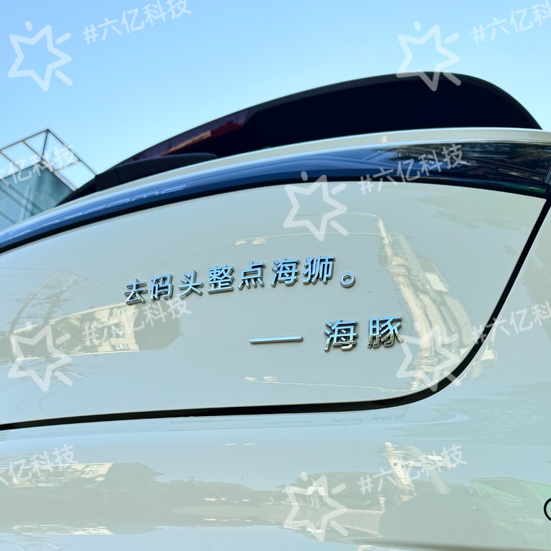比亚迪海豚去码头整点海豚饲养员加勒比个性创意汉字车尾标装饰贴