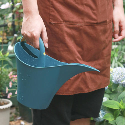 亚马逊厂家园艺塑料家用养花种浇菜洒水壶2L浇水壶长嘴浇花水壶