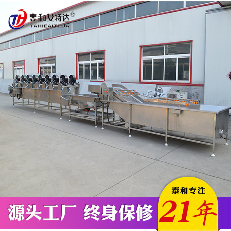 冷冻果蔬电加热漂烫预煮清洗机