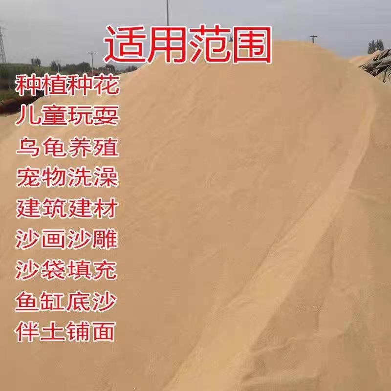 天然河沙河砂沙子养花用种植种花用实验用粗沙细沙黄沙通用营养土
