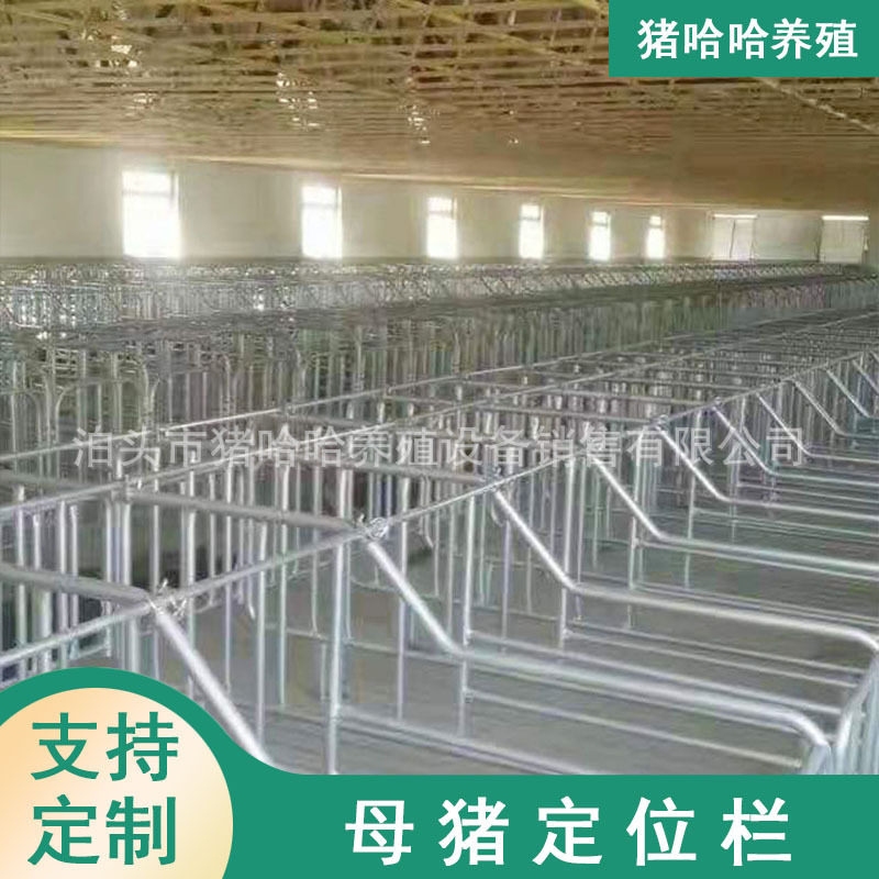 养殖场用单体定位栏养猪设备母猪产床单体双体小猪产床妊娠栏机械