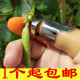手指套摘菜拇指刀择菜神器摘花椒指套厨房剥菜掐菜豆子豆指甲豆角