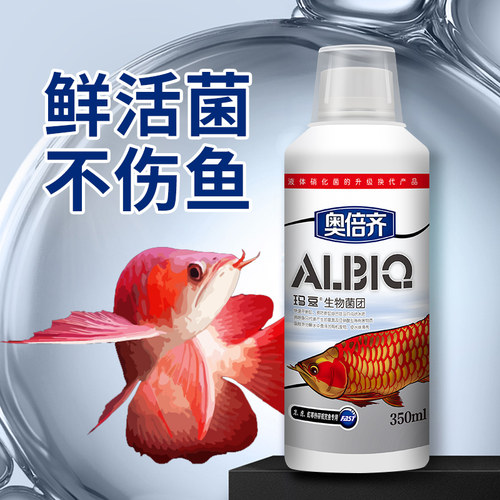 玛豆奥倍齐硝化细菌不伤鱼