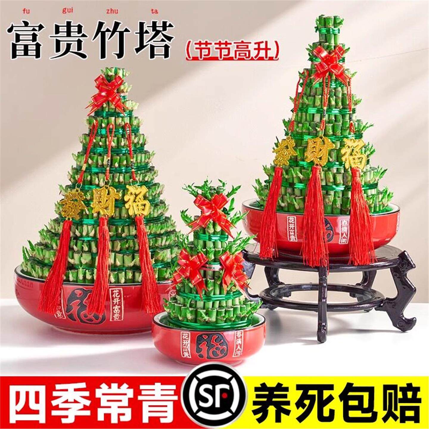 节节高富贵竹水培植物竹子书桌客厅盆栽旺宅乔迁竹塔绿植美观趣味