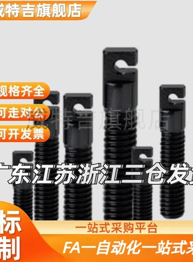 FFL01-D4/D5/D6/D8-L15/L20/L25/L30/L40拉伸弹簧支柱 缺口孔型