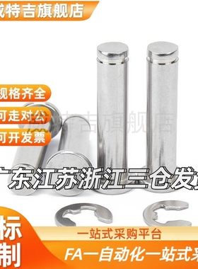 替换PHCCG SHCDG SHCCG SHCCGH3 4 5 6 8 10 HCCGH20铰链销