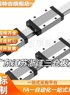 替IAC01/H8/H10/H13/H16/L40L55L75L70L100L110微型直线滑块标准