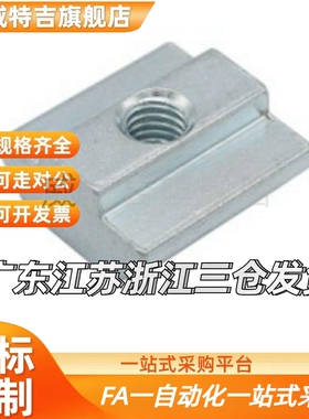 铝型材T型滑块螺母 LNSN 6 8 10 TNTB-20/30/40/45-M4 M5 M6 M8