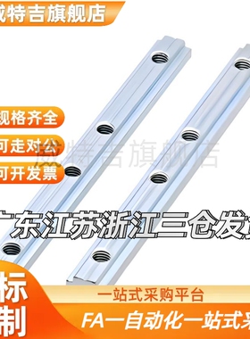 ADL21-G408/ADL21-G306铝型材配件内置直线国标30直线一字连接件