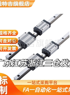 微型直线滑块/SSEB10/120/8/40/55/35/70/75/95/SSEB13/16/SSEB/