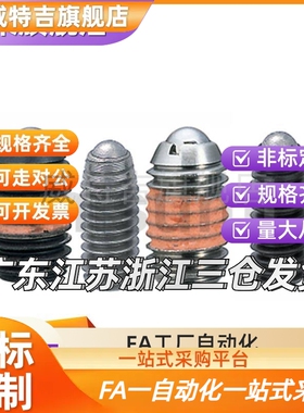 BMS/BSM3/4/5/6/8/10/12/16球头柱塞C-BSZL6-10P 替代C-BMS5-10P