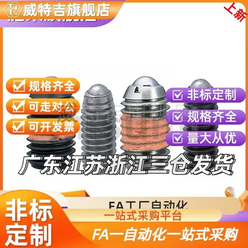 BMS/BSM3/4/5/6/8/10/12/16球头柱塞C-BSZL6-10P 替代C-BMS5-10P