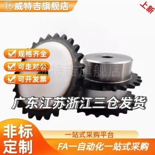 BSP40B 链轮SP40B SSP40B9