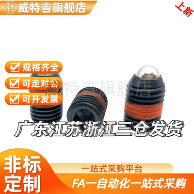 替代 高品质球头柱塞 标准型BSJF3/4/5/6/8/10/12/16