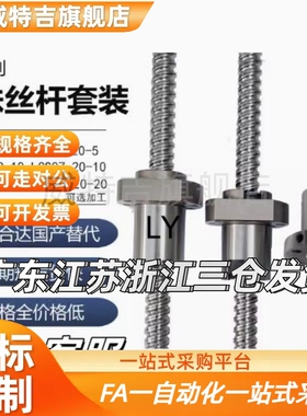 丝杆套装全套LCS02 07 29 31 47 49 55 57-20-5 20-10 20-20滚珠