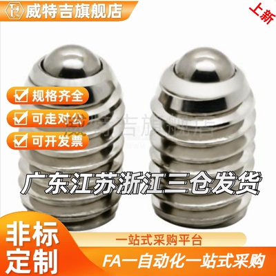 球头柱塞不锈钢现货C-BSZL6-10P/BMSL/BSML/BSZL4 5 6 8 10 12