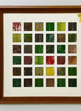 落叶相框48/36宫格diy树叶标本框枫叶亲子手工设计颜值摆台木框