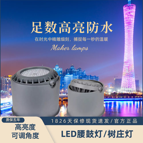 LED树桩灯平口投光灯角度可调36W48w投光灯RGB树桩投光灯洗墙照树