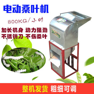 电动切桑机切桑叶机养蚕桑叶切叶机切碎机切片粉碎机桑叶机器口式
