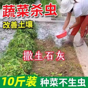 种菜专用石灰粉生石灰杀虫消毒干燥剂菜地驱蛇粉养殖土壤除湿防潮