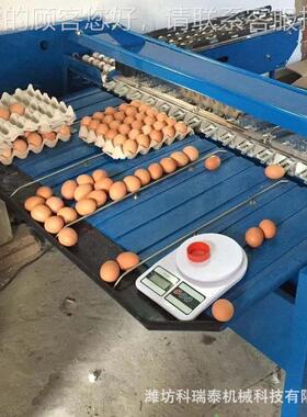 皮WFD蛋分选 鸡鸭蛋重量分蛋级机 小型种蛋分机选机械分级精机准