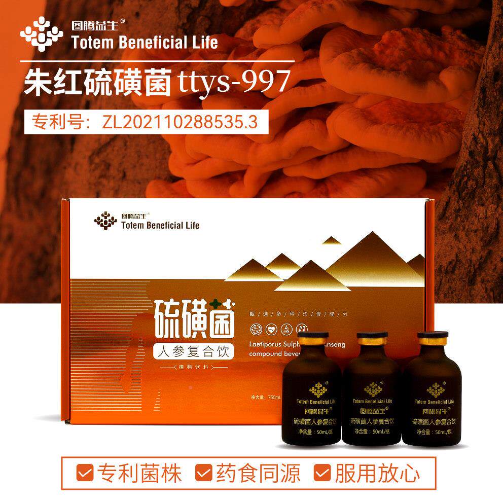 图腾益生硫人磺菌参饮药t食同源专利真菌朱红磺硫菌tSRPys-997