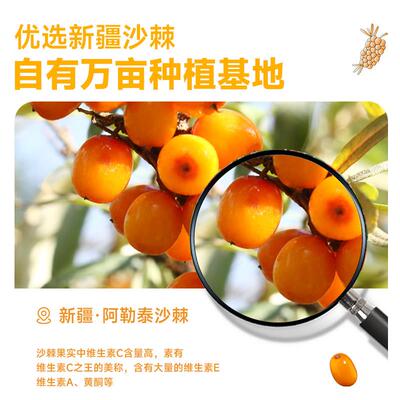 邮政农品沙棘原浆30l*3袋鲜果生榨100%原浆新0果疆小KGC榨汁高维m
