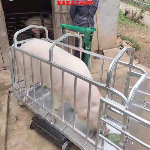 抓猪装车卖猪用笼子推上