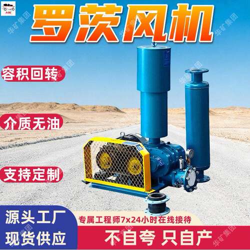 煤矿选煤罗茨风机 矿用罗茨鼓风机 污水处理水产养殖罗茨风机