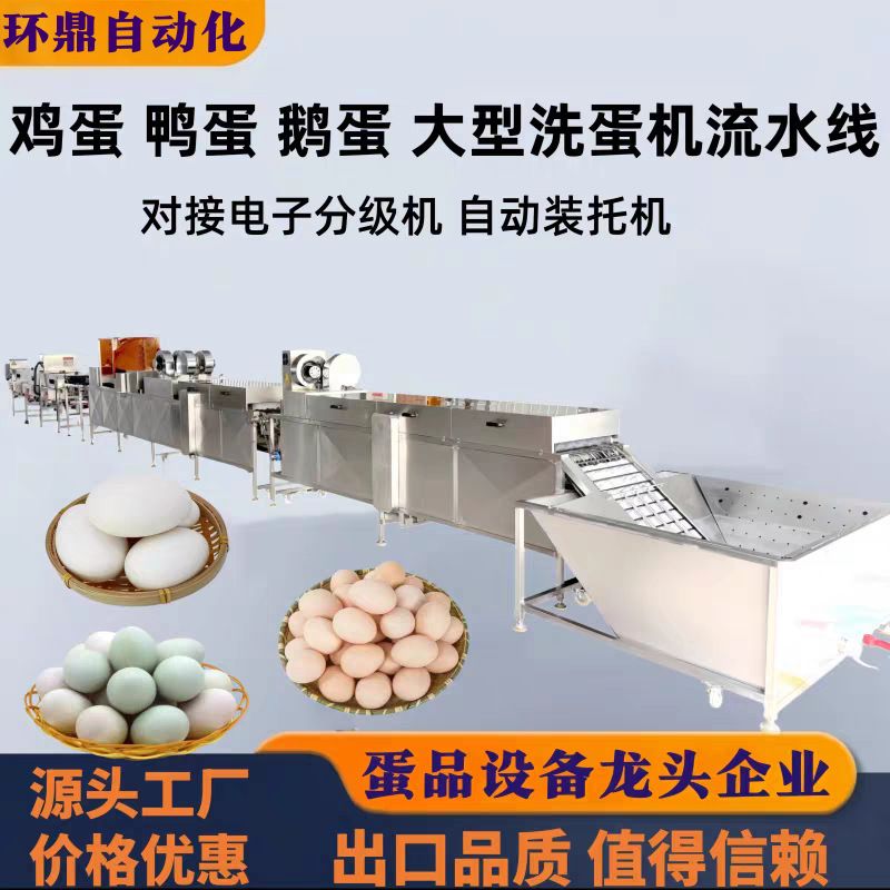 鸡蛋鸭蛋鹅蛋洗蛋机流水线对接电子分级 分级大小蛋品 蛋品清洗