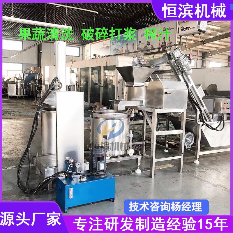 杨梅桑葚鲜果榨汁生产流水线贵州刺梨猕猴桃清洗破碎榨汁机