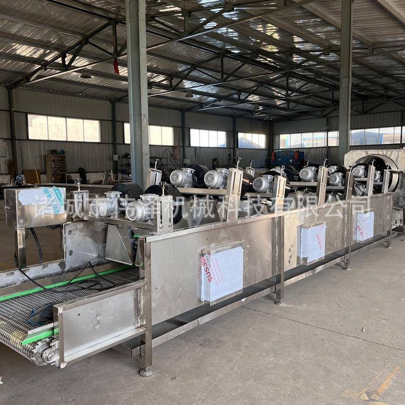 蔬菜大枣清洗振动沥水风干机 连续式食品包装袋清洗风干流水线