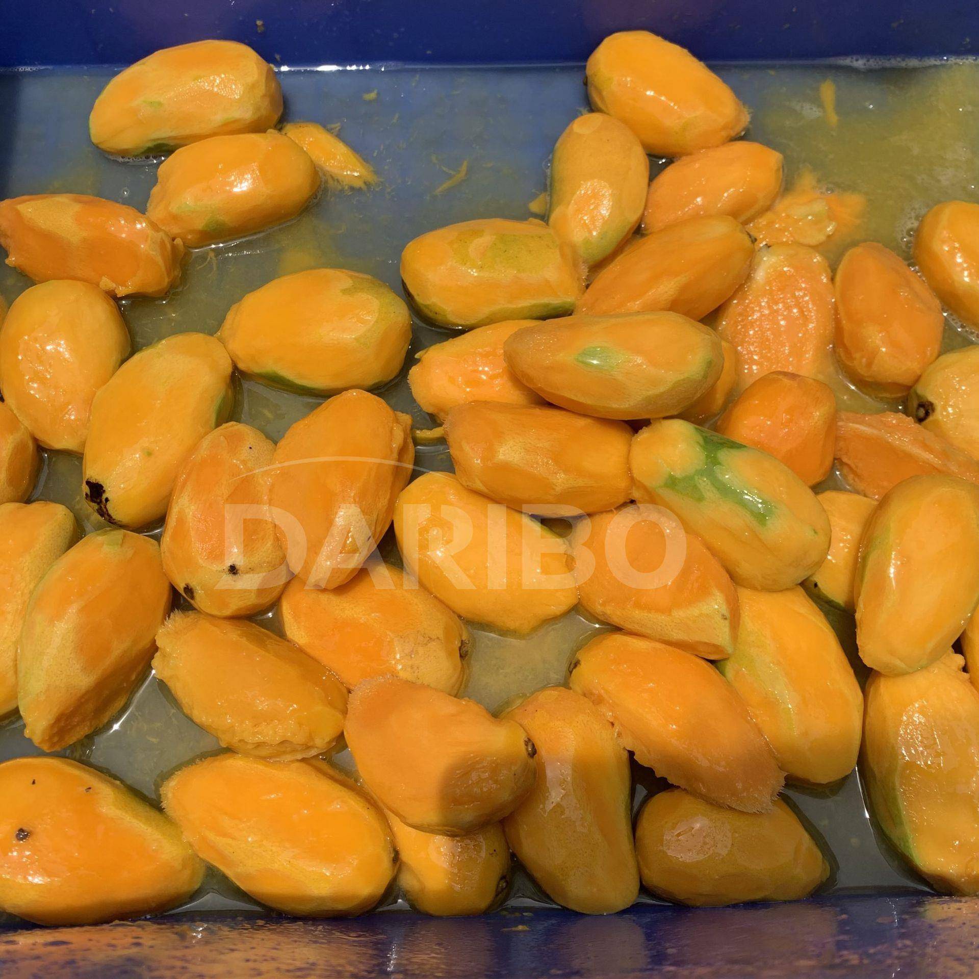 L厂家直销土豆削皮机 商用红薯地瓜自动去皮机 大型土豆削皮设备