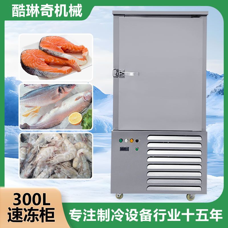 ll猪蹄腌制急速冷冻速冻机脱皮五香肉土猪肉小型速冻柜现货直销