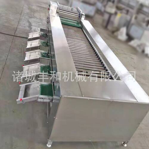 水果大小分级机 百香果分级机 西柚分级机 滚杠分级机 柠檬分级机