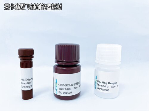 BIOG 地高辛标记CDP-STAR检测试剂盒 用于蛋白印记和斑点杂交检测