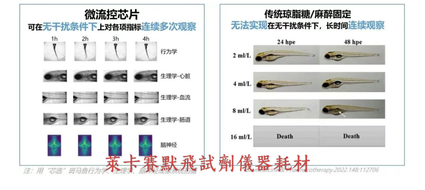 芯选活体斑马鱼微流控芯片-行为实验室配件