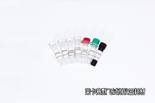 BIOG Super MultiProbe 一步法超级多重荧光定量PCR试剂盒(探针)