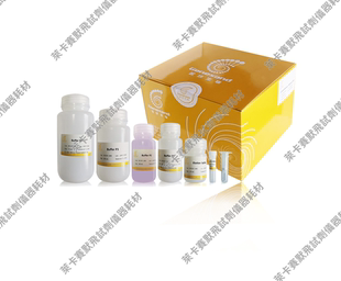 高纯度质粒DNA小量提取试剂盒，改良SDS碱裂解法，提取高纯度质粒