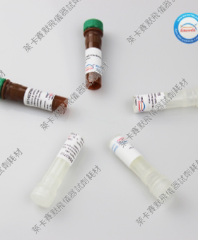 Bioworld NADH氧化酶微孔板检测试剂盒 NADH氧化酶活性检测和定量