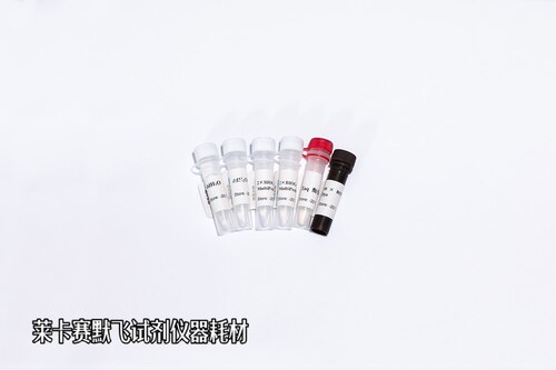 BIOG Super MultiProbe Kit，超级多重荧光定量PCR试剂盒（探针）
