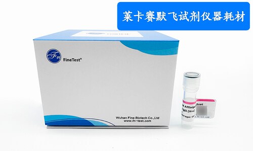 Poly HRP-conjugated Affinipure Goat Anti-Rabbit IgG (H+L)