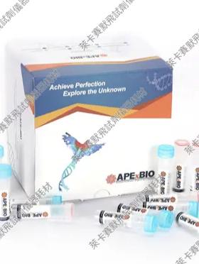 HyperScribe™All in One mRNA体外转录试剂盒,3'OMe加帽 5-moUTP